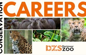 Conservation Careers