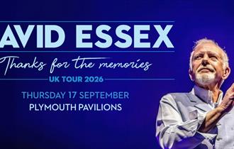 Official artwork for David Essex - Thanks for the Memories - UK Tour 2026