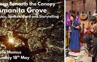 Deep Beneath the Canopy - Amanita Grove