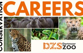 Dartmoor Zoo Conservation Careers