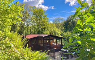 Wooden chalet surrounded by trees