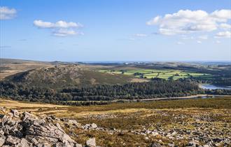 Dartmoor National Park