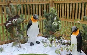 Christmas Woodland Adventure Golf