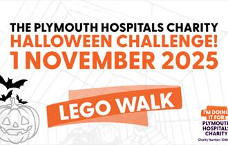 Derriford Legowalk