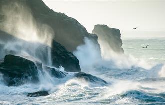 Lost to the Sea by Lisa Wollett