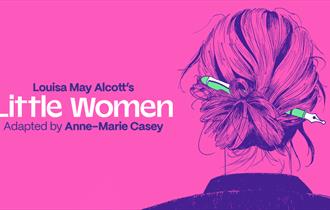 Blue illustration on pink backdrop of back of woman's head, her hair held in a updo with a fountain pen.