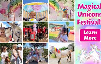 Magical Unicorn Festival at Pennywell Farm!