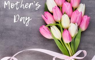 Mother's Day Sunday Carvery Lunch