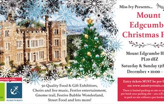 Mount Edgcumbe Christmas Fair