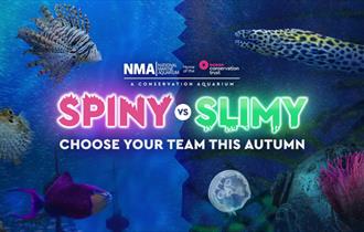 Fish in the tank, with the words slime vs spine on it
