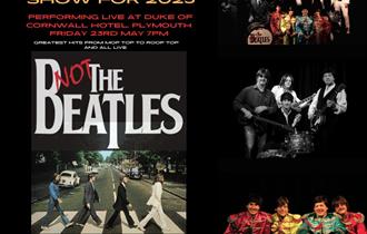 Not The Beatles Tribute Night