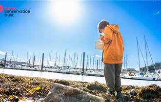 Rockpool Safari with the Ocean Conservation Trust