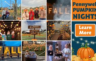 Pumpkin Nights at Pennywell Farm!