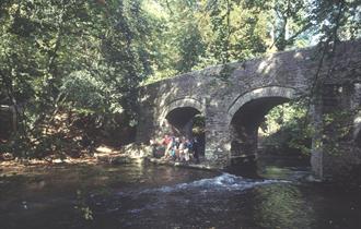 The Plym Trail, photo supplied by NTPL/Chris King