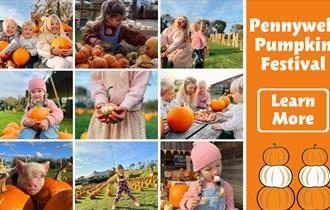 Pumpkin Festival at Pennywell Farm!