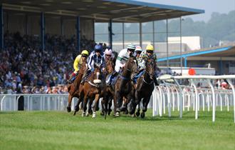 Newton Abbot Racecourse