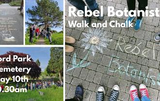 Chalk & Walk with the Rebel Botanists