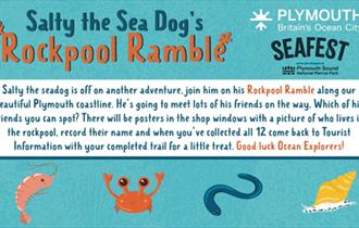Rockpool Ramble Trail at Seafest