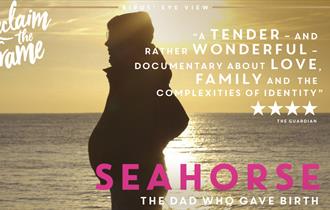 Seahorse: The Dad Who Gave Birth