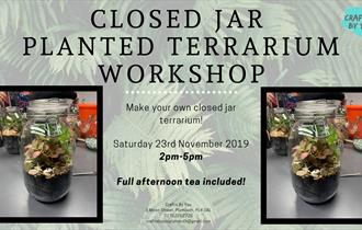 Closed Jar Terrarium Workshop
