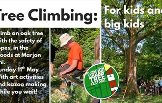 Tree Climbing for Kids and Big Kids