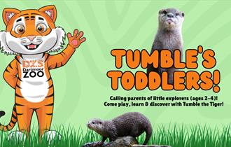 Tumble's Toddlers
