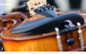 University of Plymouth Orchestra Concert - Summer Classics