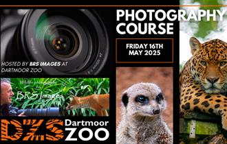 Photography Course
