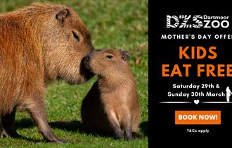 Mother's Day Kids Eat FREE at Dartmoor Zoo