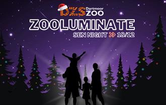 Zooluminate SEN Night