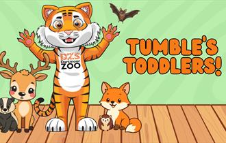 Tumble's Toddlers