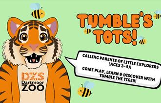 Tumble's Tots