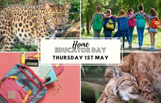 Home Educator Day - Creativity