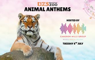 Animal Anthems