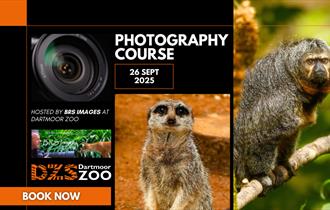 Photography Course with BRS Images