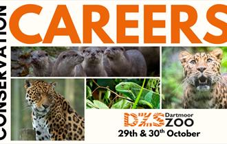 Conservation Careers