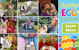 Easter at Pennywell Farm