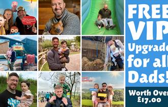 Father's Day at Pennywell Farm
