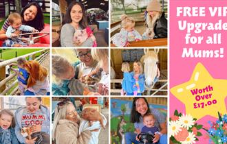 Mother's Day at Pennywell Farm