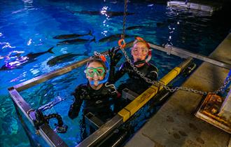 Snorkel at the Aquarium