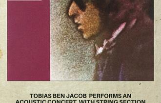 Bob Dylan Tribute - Blood on the Tracks