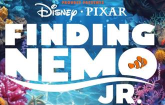 Finding Nemo JR