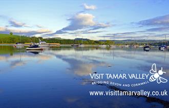 Visit Tamar Valley