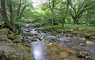 Dartmoor and walkers