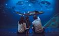 Family at National Marine Aquarium, Plymouth UK