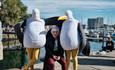 Giant Seagulls in Plymouth