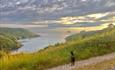 A dog on a coastal walking path