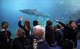 Talks and demonstrations at the National Marine Aquarium Plymouth