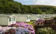 Bovisand Lodge Holiday Park near Plymouth