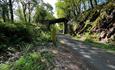 Plymbridge Woods